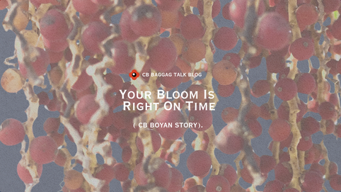 CB BOYAN: Your Bloom Is Right On Time