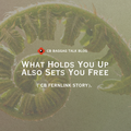 CB FERNLINK: What Holds You Up Also Sets You Free