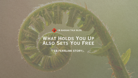 CB FERNLINK: What Holds You Up Also Sets You Free