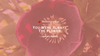 CB HIRO: You Were Always The Flower