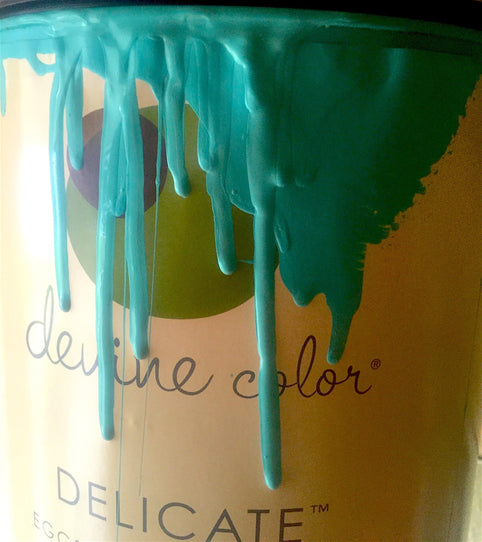 How Devine Color Outgrew Its Can