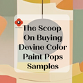 The Scoop On Buying Paint Pops