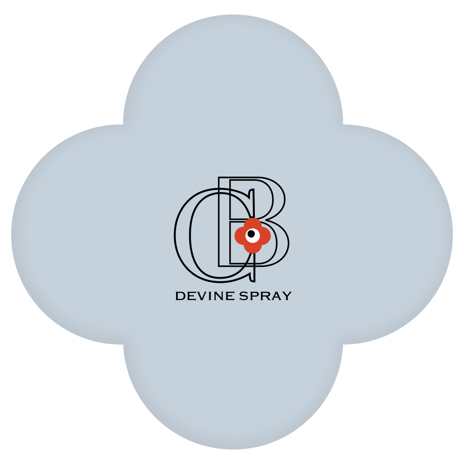 Spray - Color Baggage