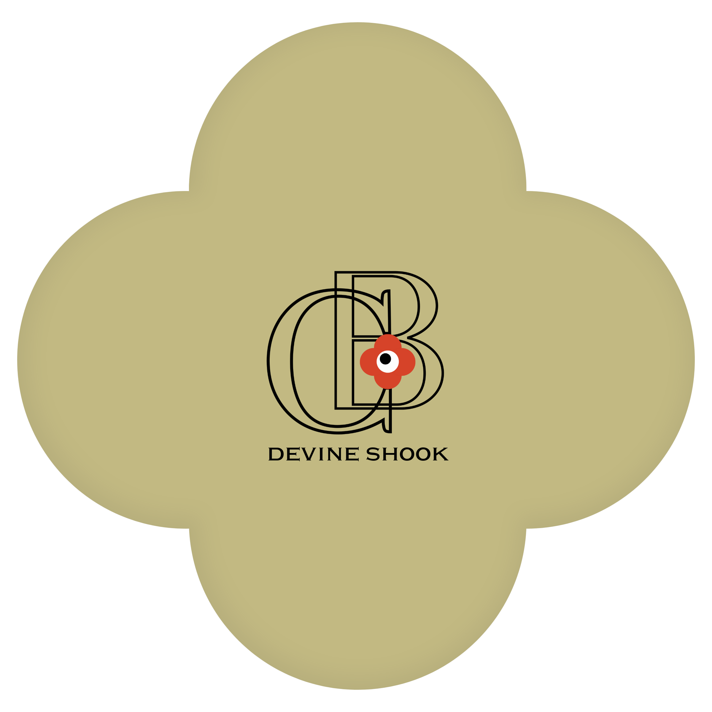 Shook - Color Baggage