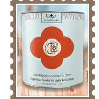 Color Baggage | SHOP Paint