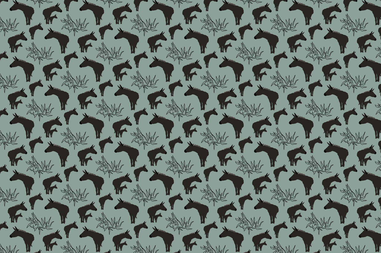 Wallpaper | Asana