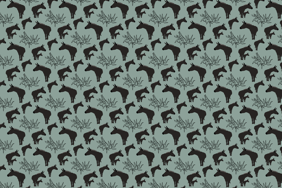 Wallpaper | Asana