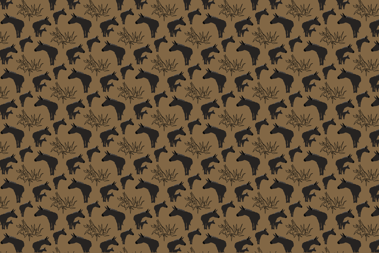Wallpaper | Asana