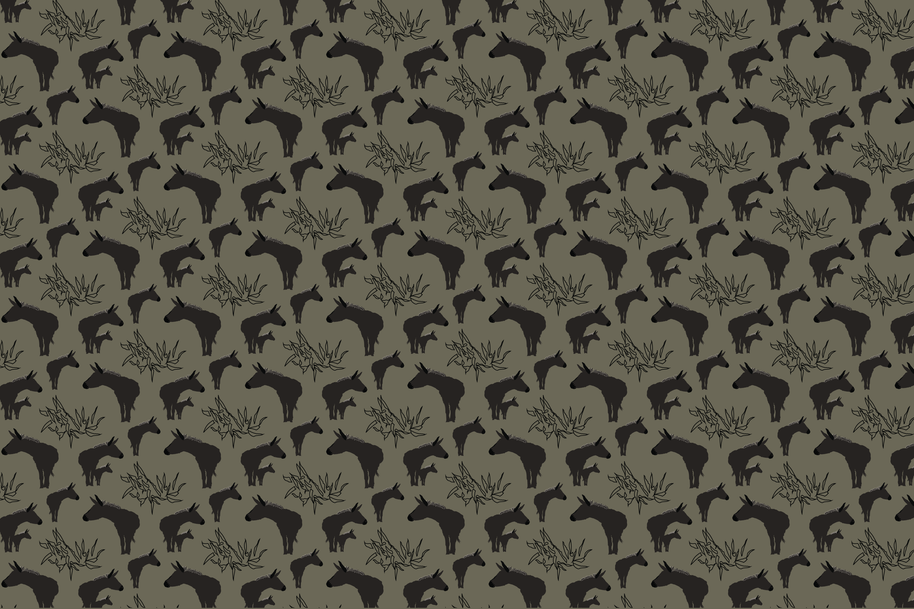 Wallpaper | Asana