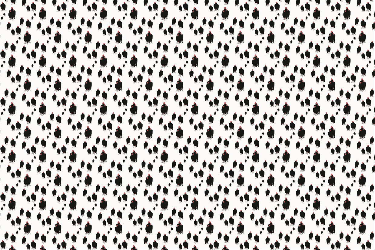 Wallpaper | Carryon