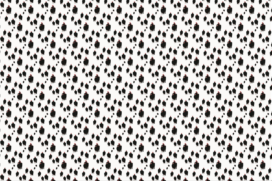 Wallpaper | Carryon