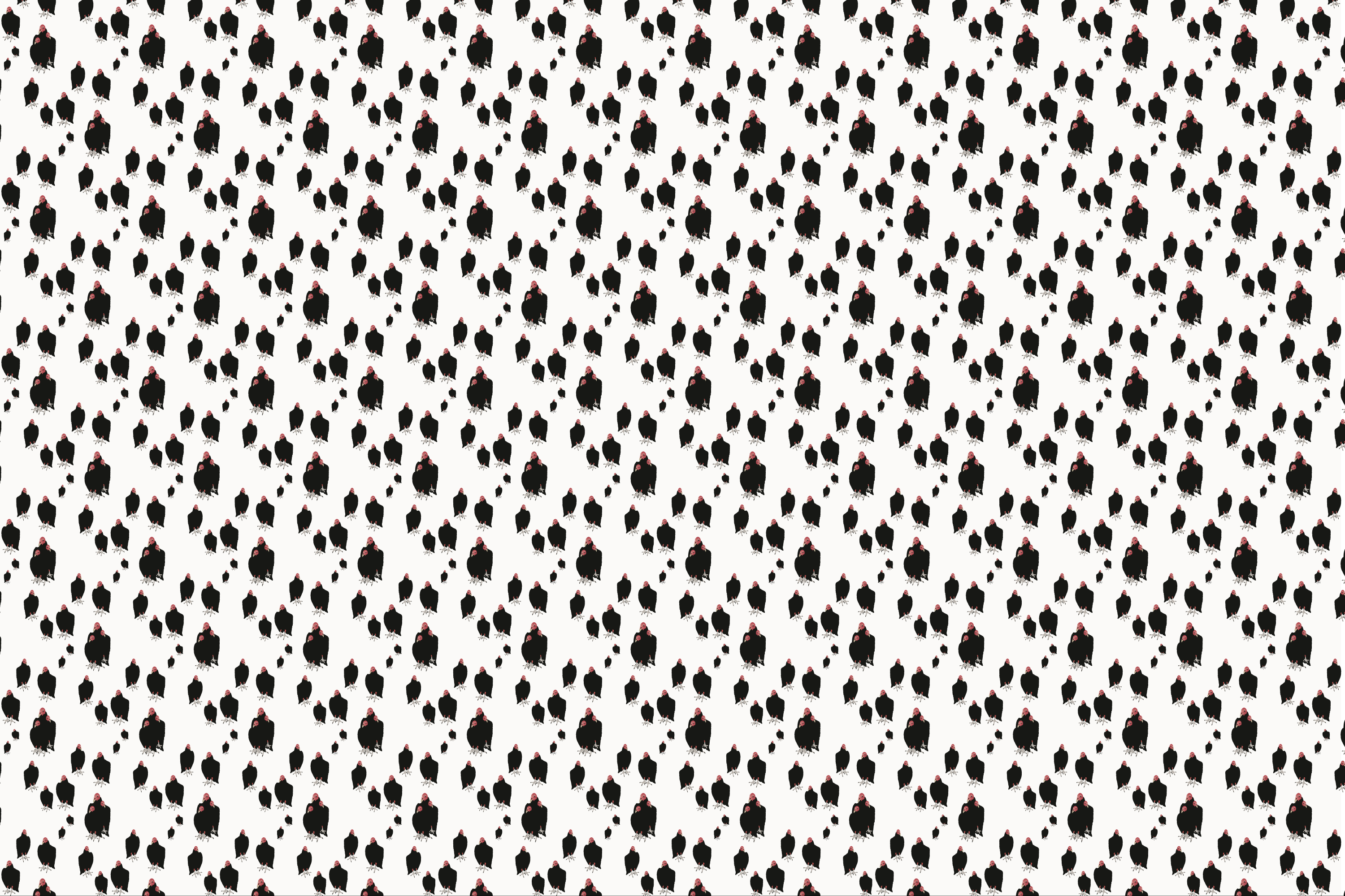 Wallpaper | Carryon