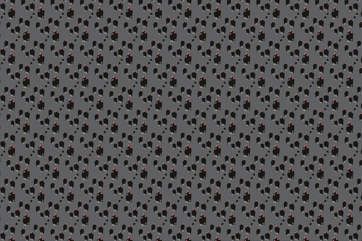 Wallpaper | Carryon