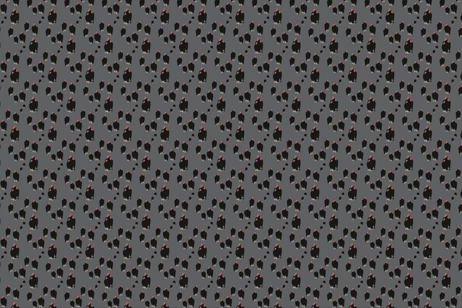 Wallpaper | Carryon