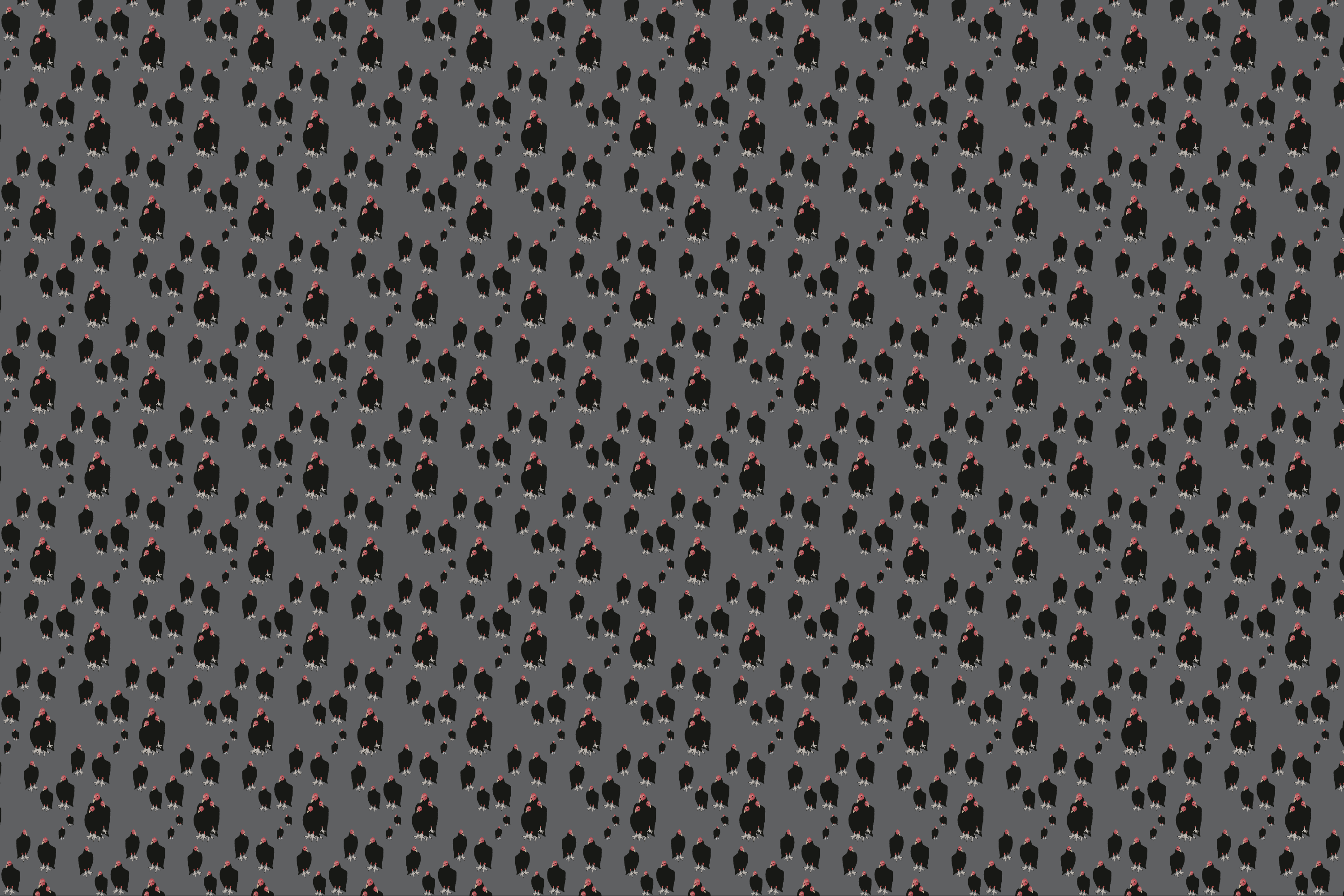 Wallpaper | Carryon
