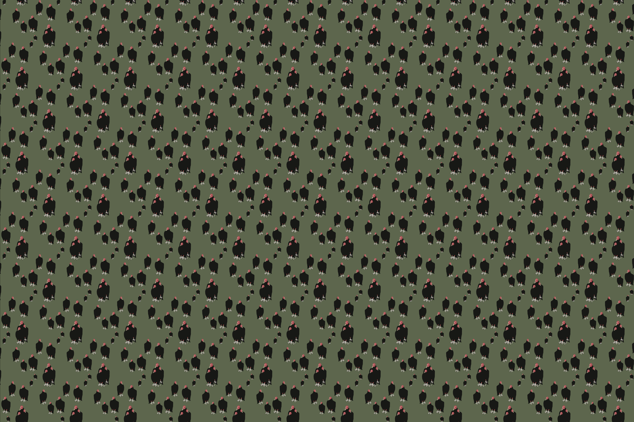 Wallpaper | Carryon