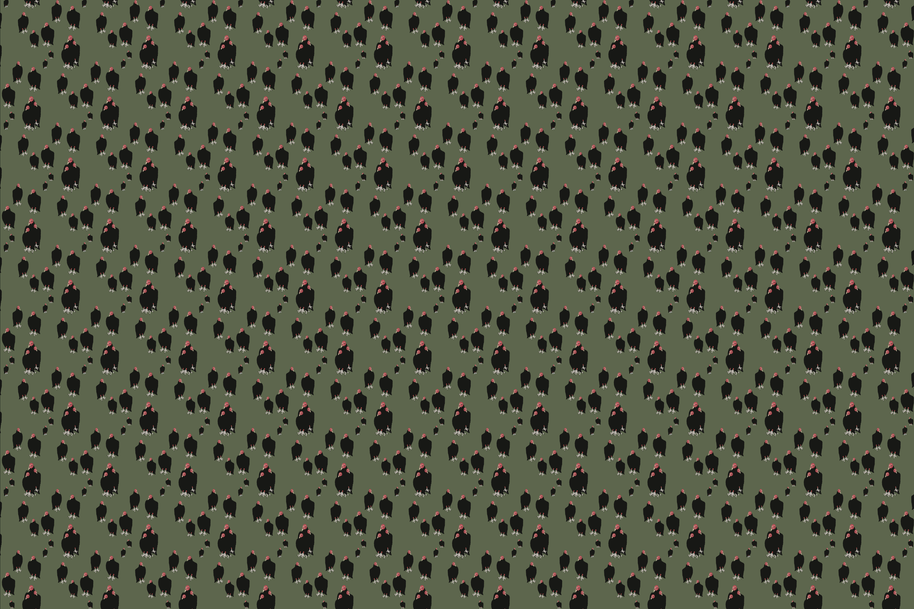 Wallpaper | Carryon