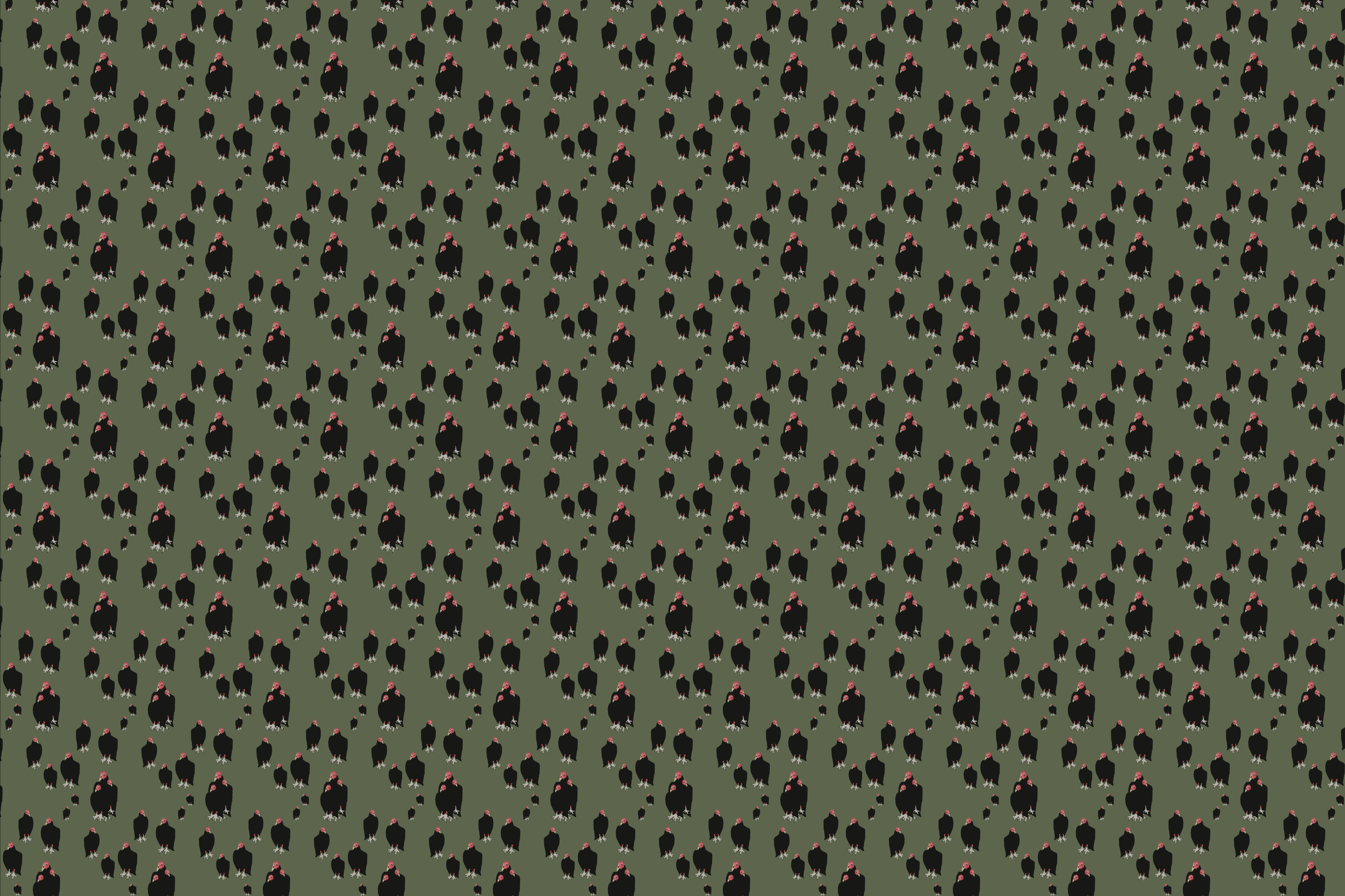 Wallpaper | Carryon