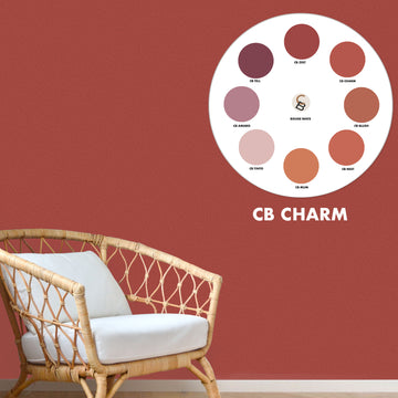 CB CHARM - Color Baggage
