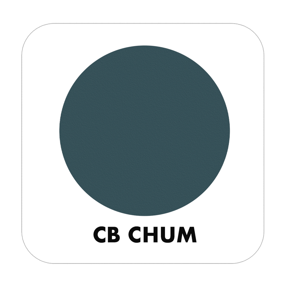 PROJECT PAINT CHUM-INDOOR - Color Baggage