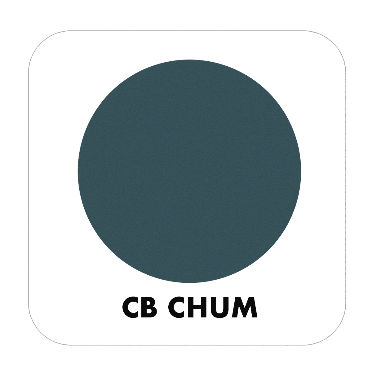 PROJECT PAINT CHUM-INDOOR - Color Baggage