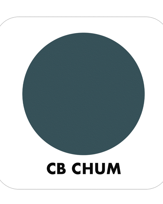 PROJECT PAINT CHUM-INDOOR - Color Baggage