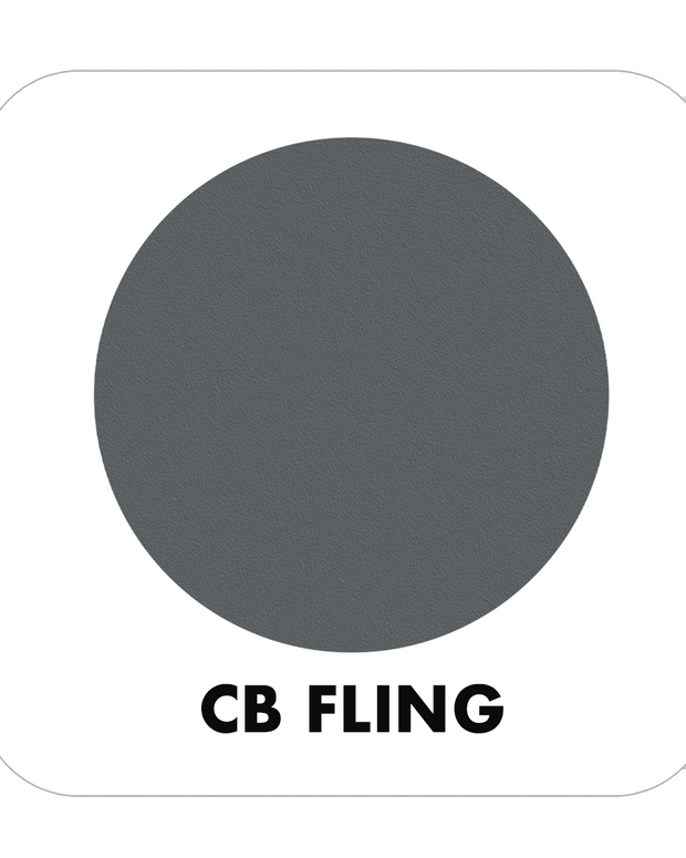 PROJECT PAINT FLING-INDOOR - Color Baggage