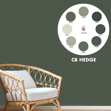 CB HEDGE - Color Baggage