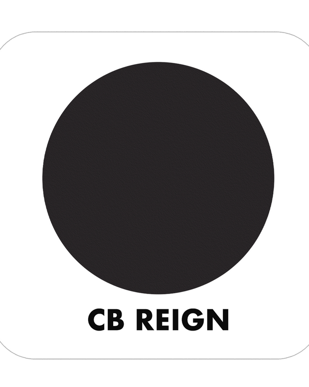 PROJECT PAINT REIGN-INDOOR - Color Baggage