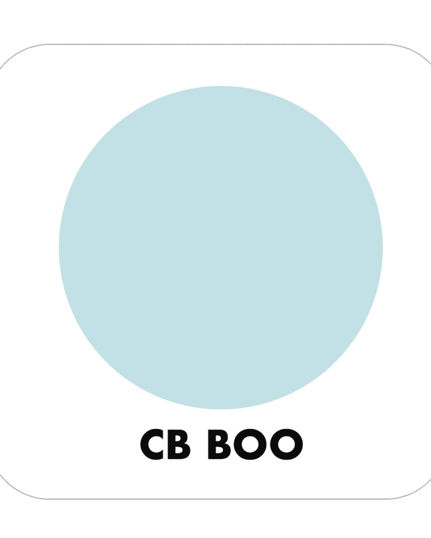 PROJECT PAINT BOO-INDOOR - Color Baggage