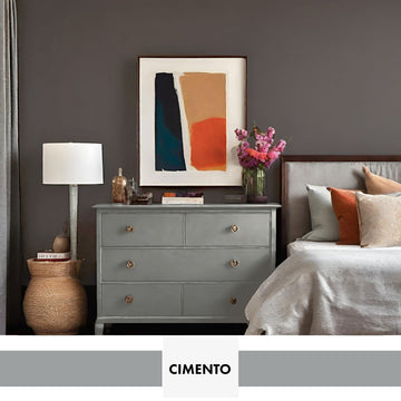 PROJECT PAINT CIMENTO-INDOOR - Color Baggage