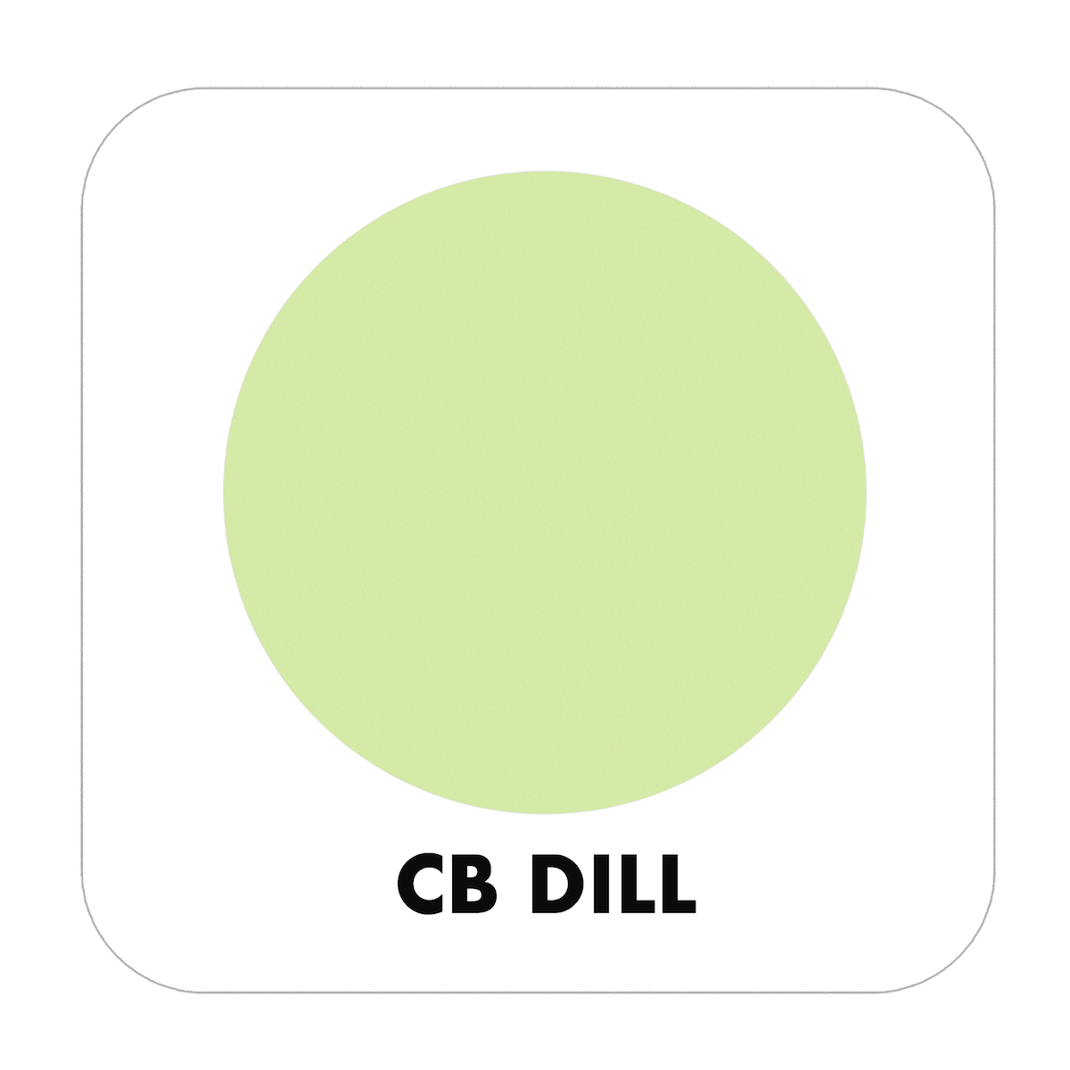 PROJECT PAINT DILL-OUTDOOR - Color Baggage