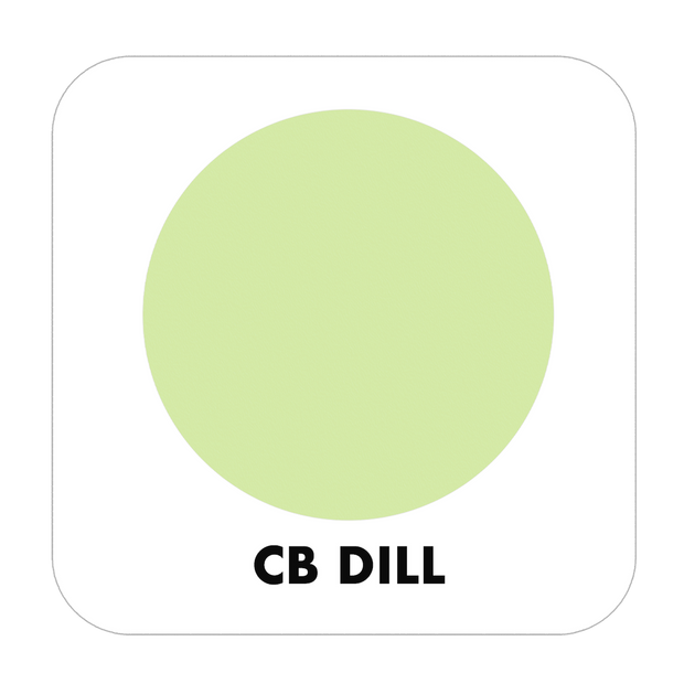 PROJECT PAINT DILL-OUTDOOR - Color Baggage