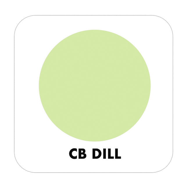 PROJECT PAINT DILL-OUTDOOR - Color Baggage