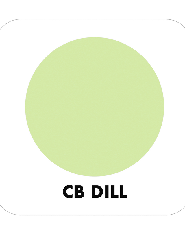 PROJECT PAINT DILL-OUTDOOR - Color Baggage