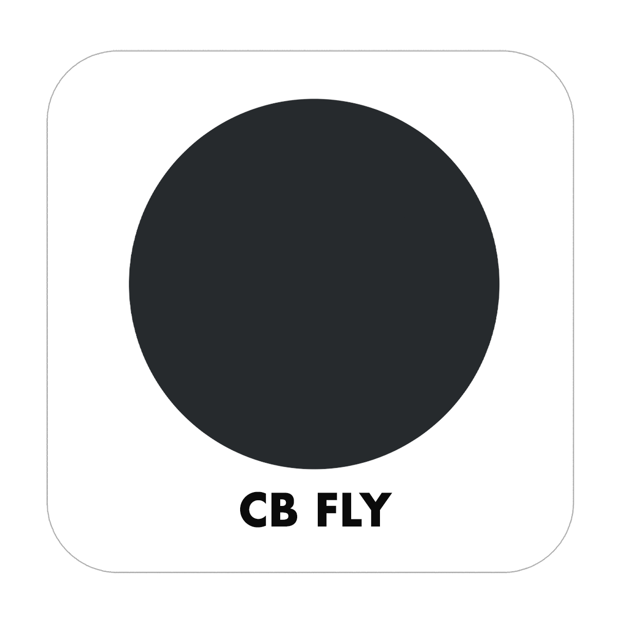 CB FLY - Color Baggage