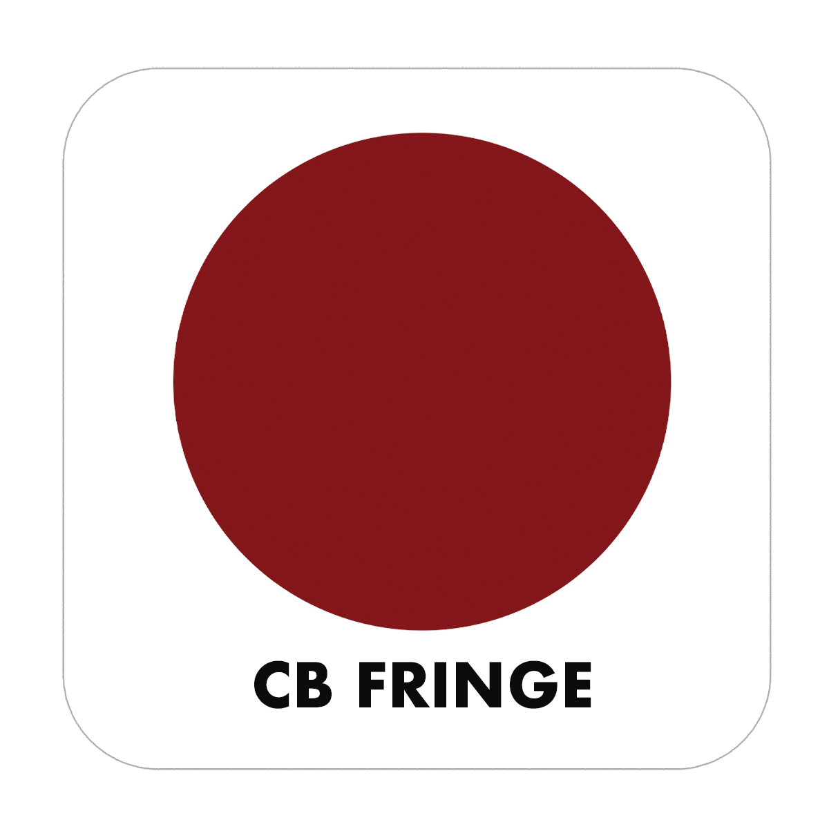 PROJECT PAINT FRINGE-OUTDOOR - Color Baggage