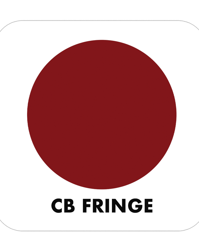 PROJECT PAINT FRINGE-OUTDOOR - Color Baggage