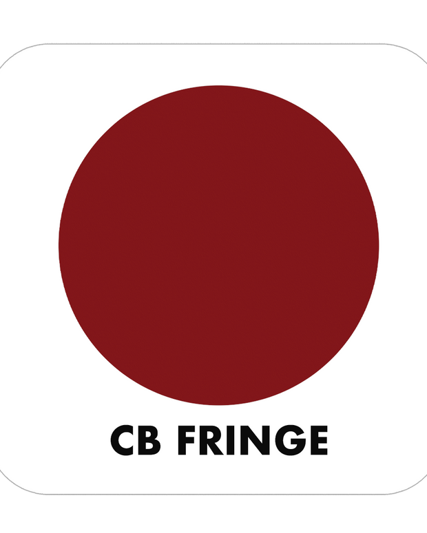 PROJECT PAINT FRINGE-INDOOR - Color Baggage