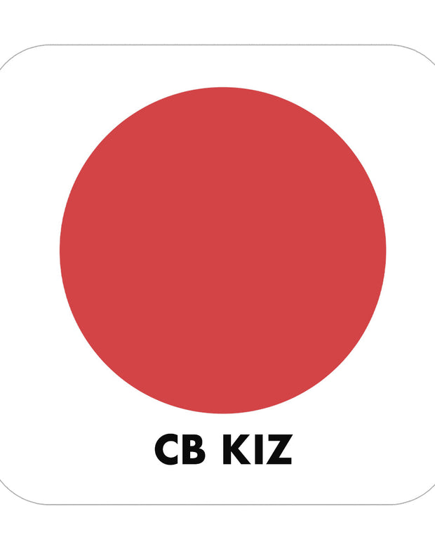 PROJECT PAINT KIZ-INDOOR - Color Baggage