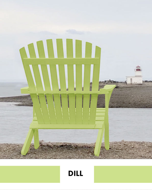 PROJECT PAINT DILL-OUTDOOR - Color Baggage