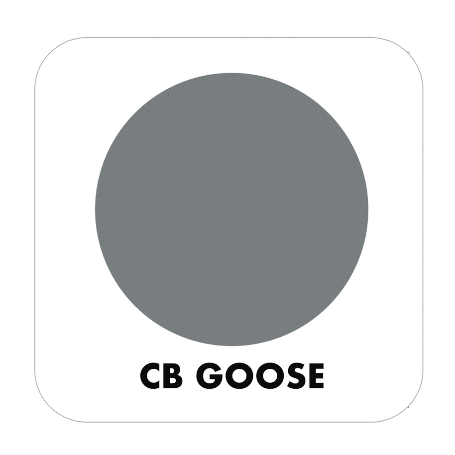 PROJECT CHALK GOOSE-INDOOR - Color Baggage
