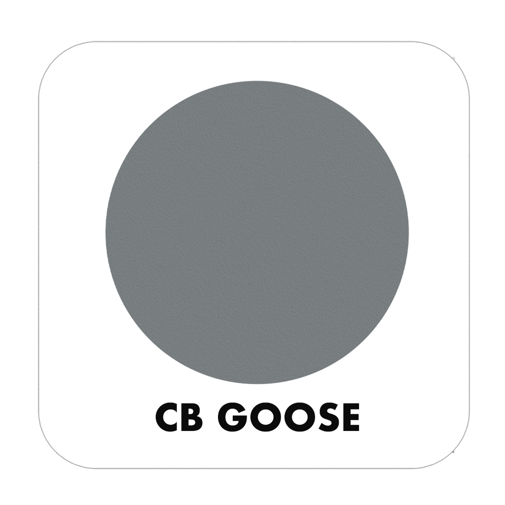 PROJECT CHALK GOOSE-INDOOR - Color Baggage