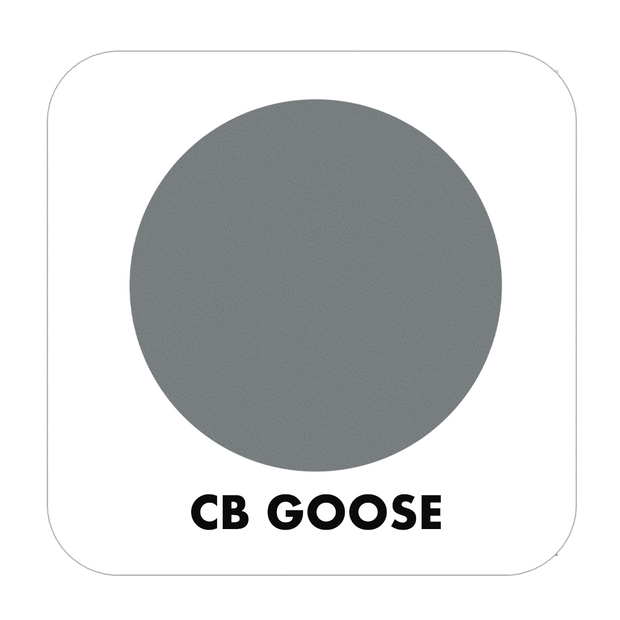 PROJECT CHALK GOOSE-INDOOR - Color Baggage