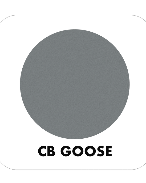 PROJECT CHALK GOOSE-INDOOR - Color Baggage