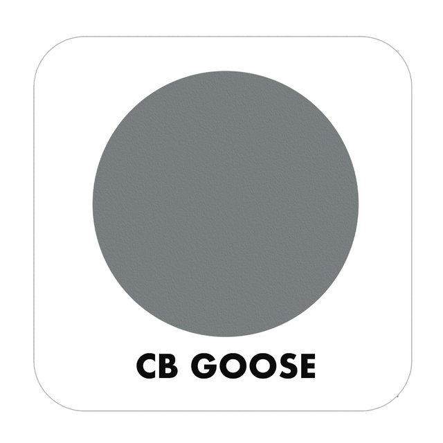 PROJECT CHALK GOOSE-INDOOR - Color Baggage