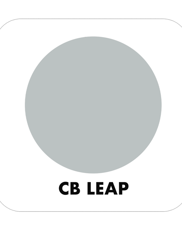 PROJECT CHALK LEAP-INDOOR - Color Baggage