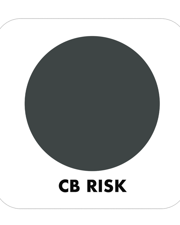 PROJECT CHALK RISK-INDOOR - Color Baggage