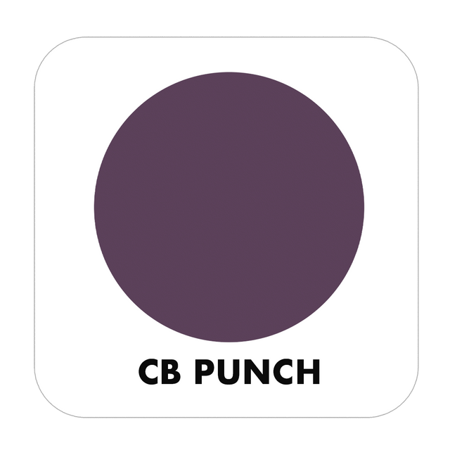PROJECT PAINT PUNCH-OUTDOOR - Color Baggage