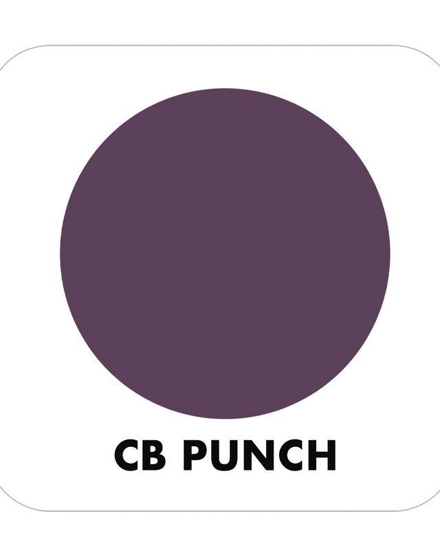 PROJECT PAINT PUNCH-OUTDOOR - Color Baggage